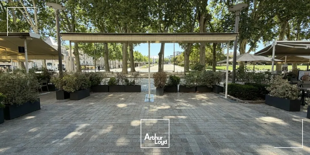 Locaux commerciaux - Location - NIORT - 79000 - 216-216 - 7801608