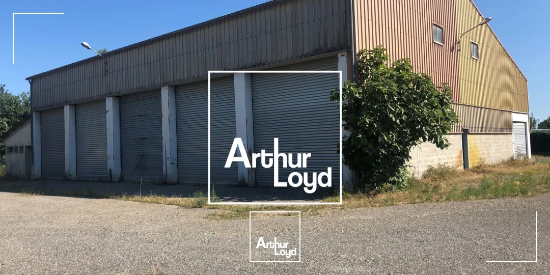 Locaux d'activité & Entrepôts - Location - PORTET SUR GARONNE - 31120 - 675-675 - 7802180