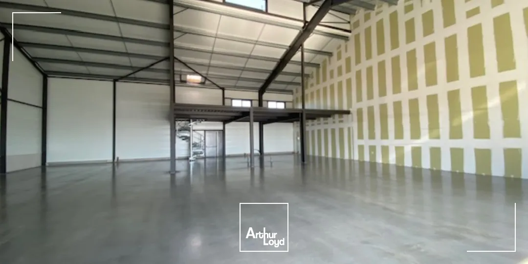 Locaux commerciaux - Location - PLONEOUR LANVERN - 29720 - 549-549 - 7802894
