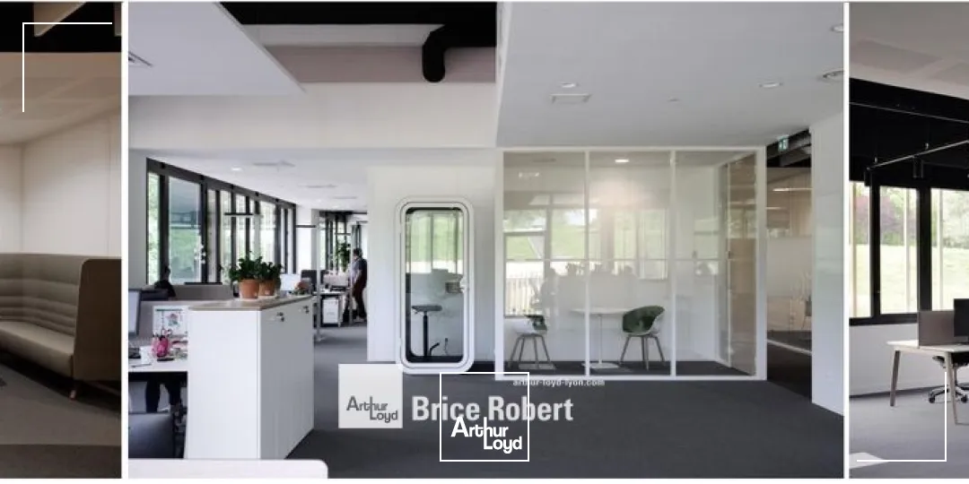 Bureaux - Location - ECULLY - 69130 - 213-794 - 7803335