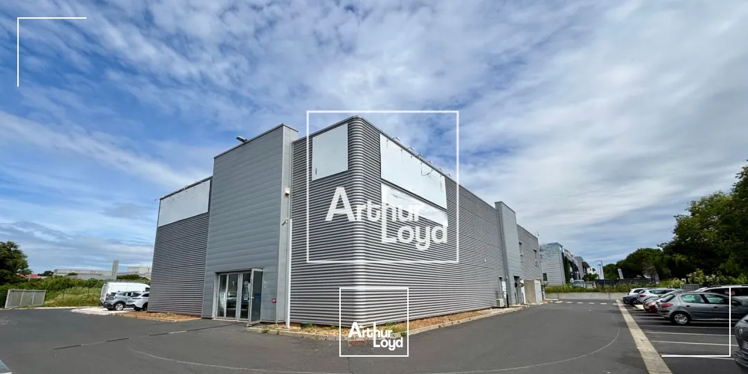 Locaux d'activité & Entrepôts - Location - MONTPELLIER - 34070 - 795-795 - 7804260