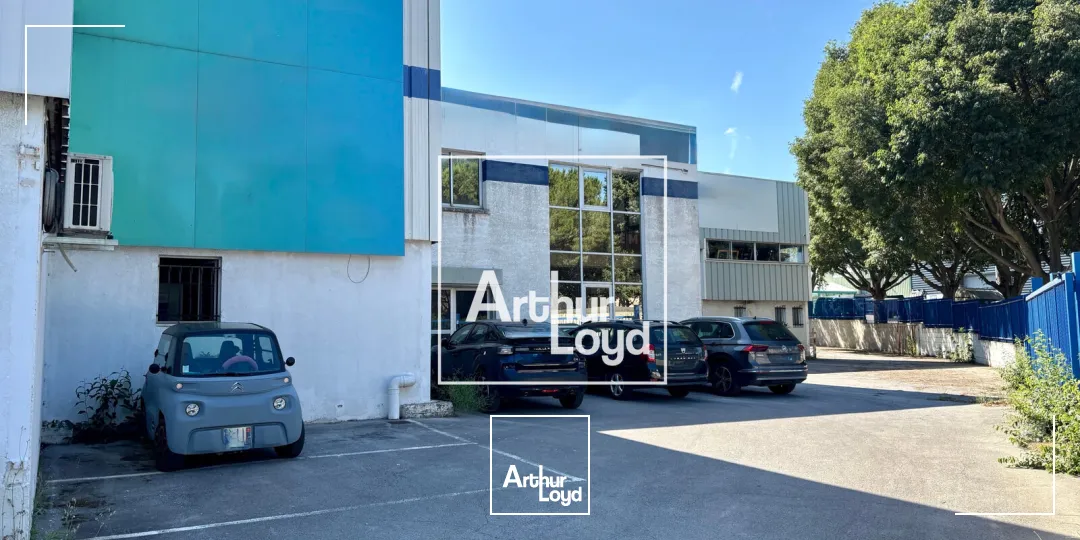 Locaux d'activité & Entrepôts - Location - SAINT JEAN DE VEDAS - 34430 - 1424-1424 - 7804262