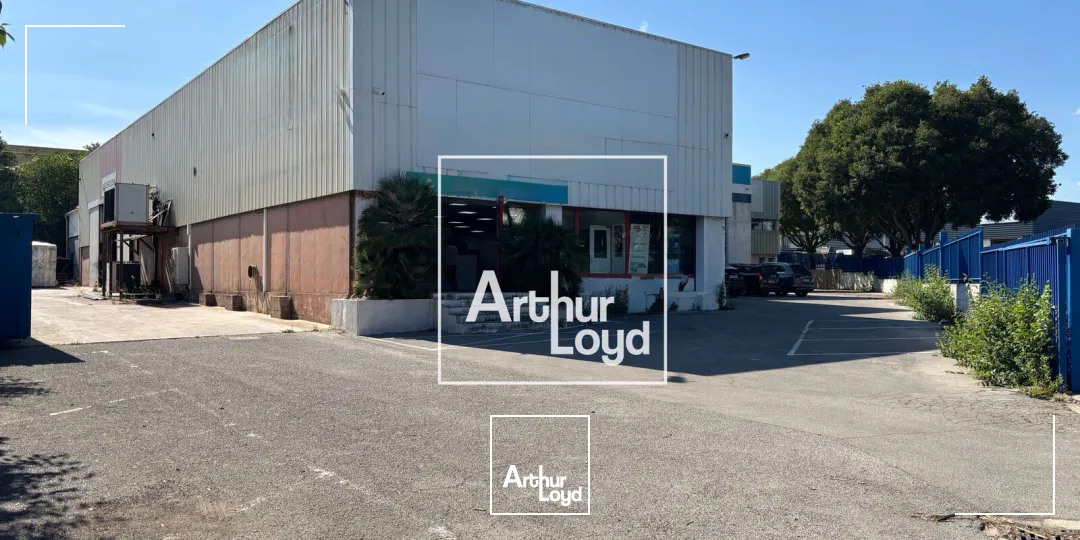 Locaux d'activité & Entrepôts - Location - SAINT JEAN DE VEDAS - 34430 - 1424-1424 - 7804261