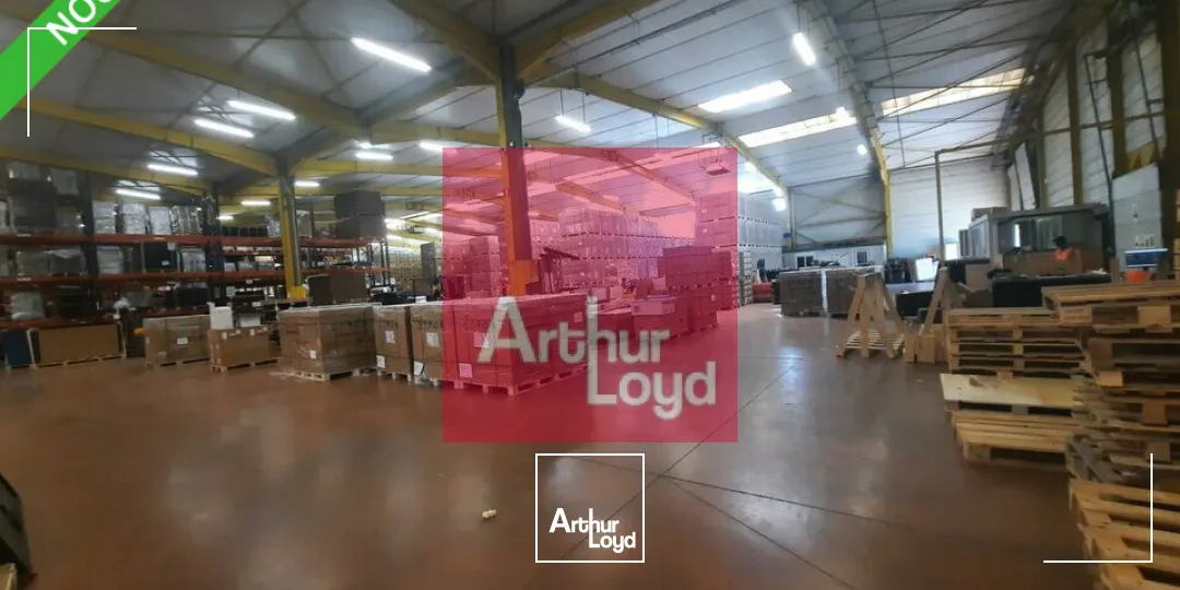 Locaux d'activité & Entrepôts - Location - AUBIERE - 63170 - 4331-4331 - 7804842