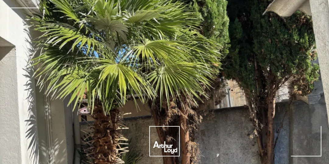 Locaux commerciaux - Location - LA ROCHELLE - 17000 - 77-77 - 7805689