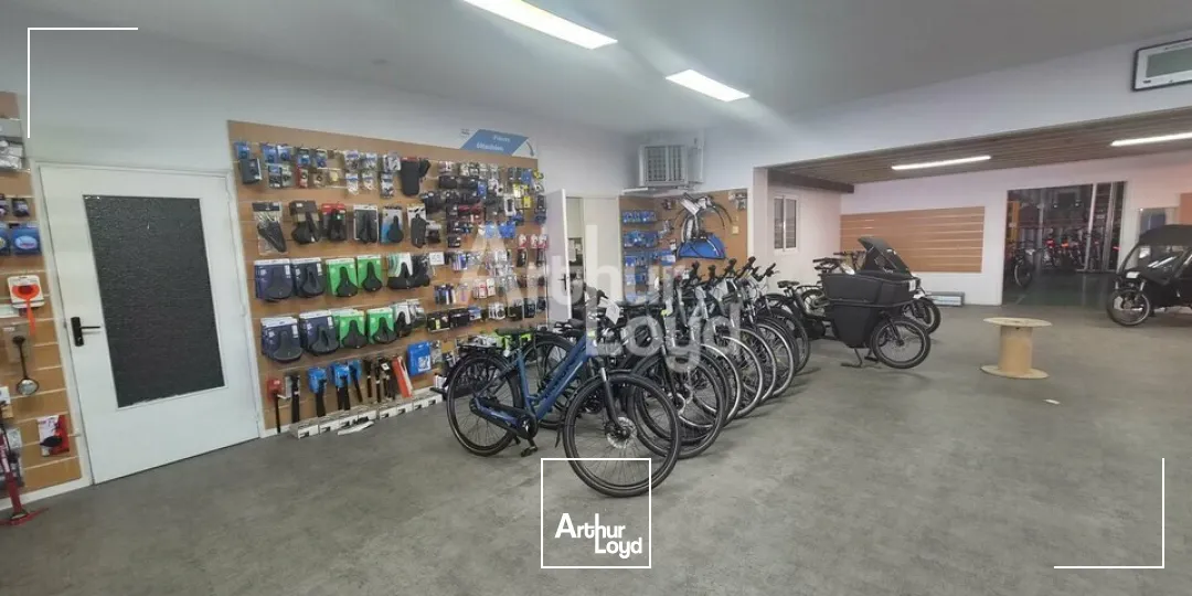 Locaux commerciaux - Location - ANGERS - 49100 - 720-720 - 7805796