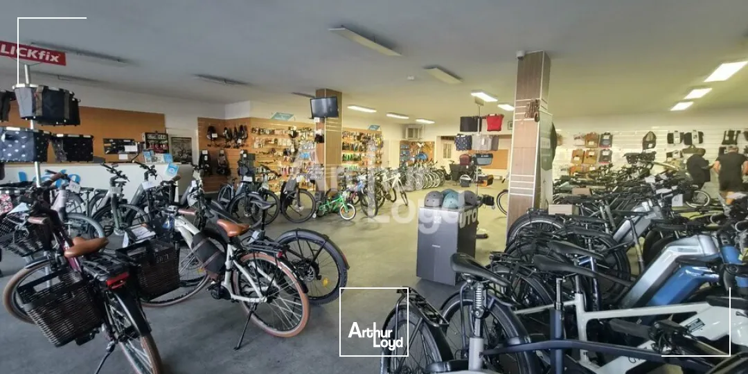 Locaux commerciaux - Location - ANGERS - 49100 - 720-720 - 7805797