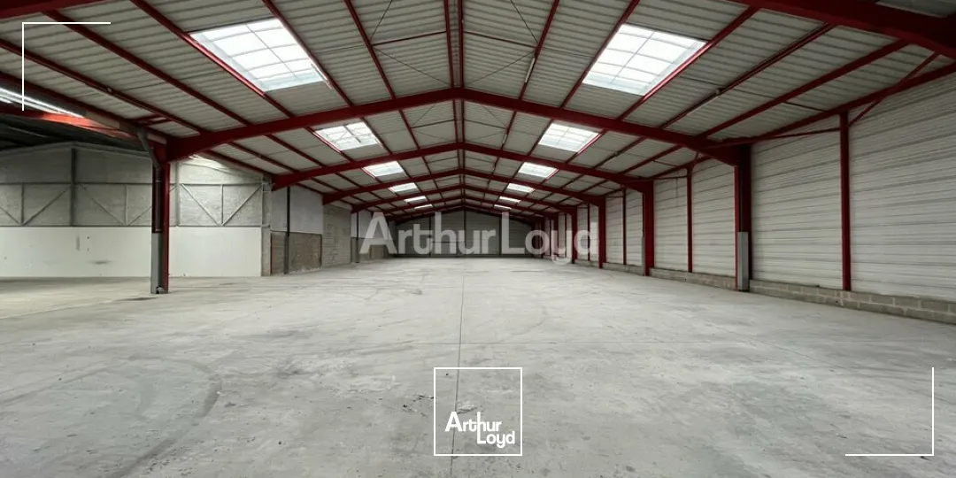 Locaux d'activité & Entrepôts - Location - REIMS - 51100 - 1562-1562 - 7805811
