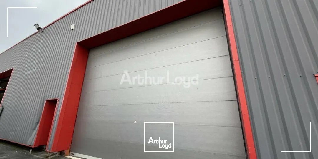 Locaux d'activité & Entrepôts - Location - REIMS - 51100 - 1562-1562 - 7805813