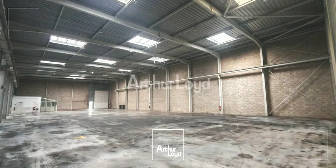 Locaux d'activité & Entrepôts - Location - REIMS - 51100 - 1130-1130 - 7805817