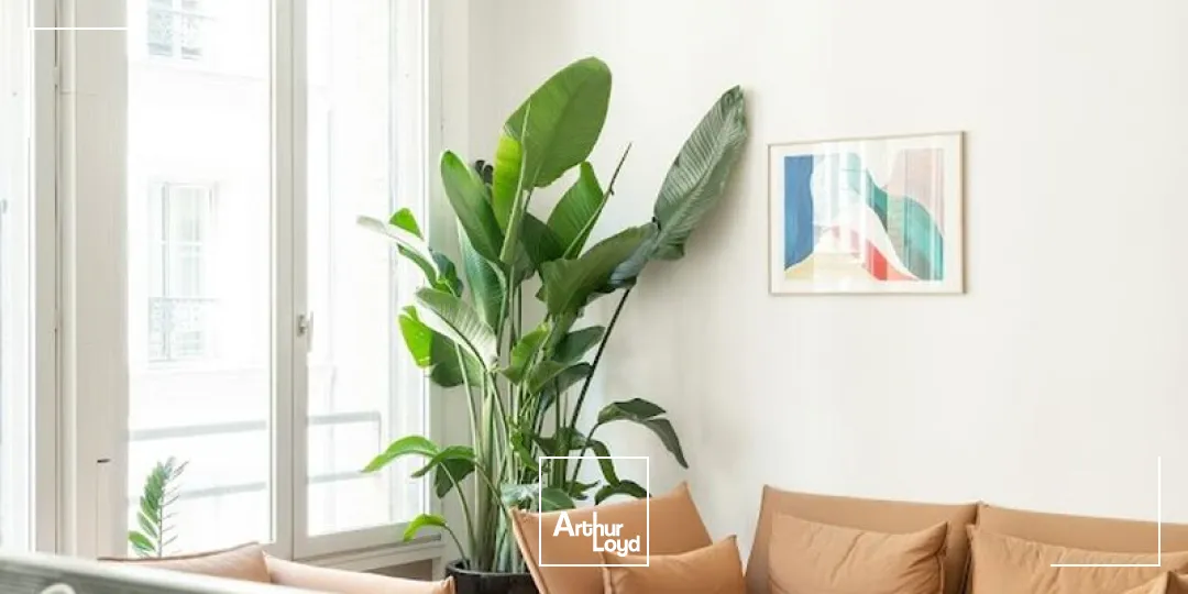 Bureaux - Coworking - PARIS - 75002 - 160-160 - 7806293