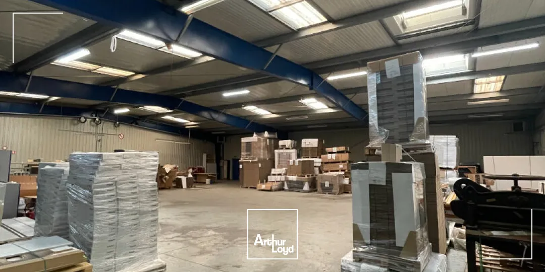 Locaux d'activité & Entrepôts - Vente - SAINT JUNIEN - 87200 - 2000-2000 - 7806813