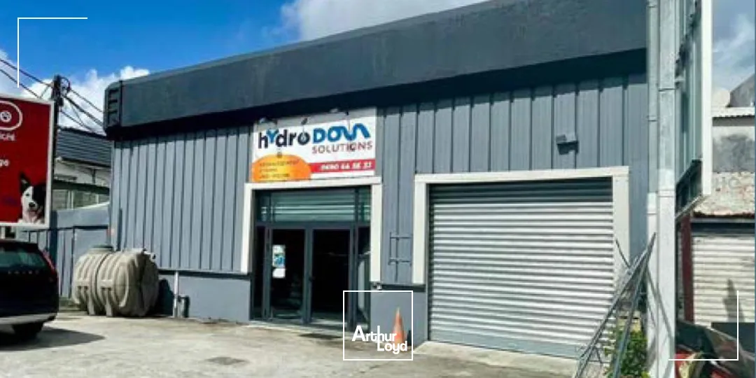 Locaux commerciaux - Location - Baie Mahault - 97122 - 181-181 - 7807795