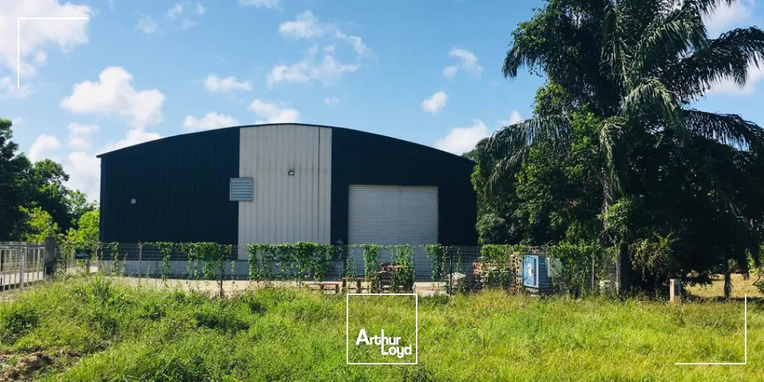 Locaux d'activité & Entrepôts - Vente - Montsinery Tonnegrande - 97356 - 1000-1000 - 7807805