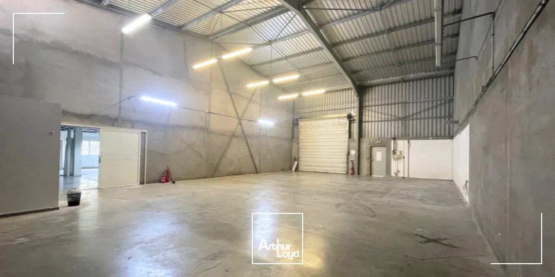 Locaux d'activité & Entrepôts - Location - Baie Mahault - 97122 - 192-192 - 7807801