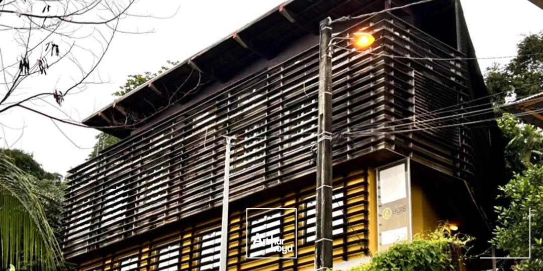 Bureaux - Location - Cayenne - 97300 - 160-160 - 7807829