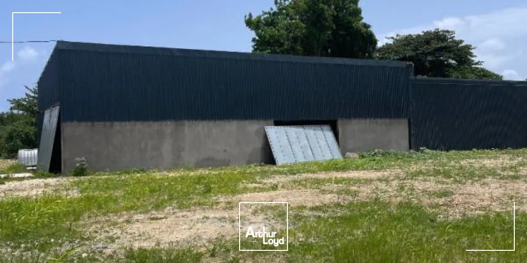 Locaux d'activité & Entrepôts - Location - Le Gosier - 97190 - 250-250 - 7807857