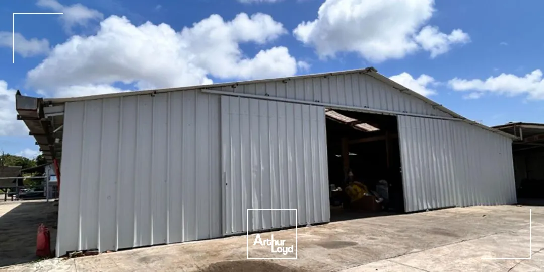 Locaux d'activité & Entrepôts - Location - Matoury - 97351 - 400-400 - 7807858