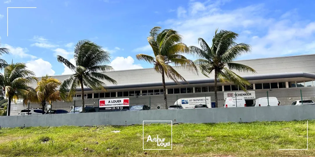 Bureaux - Location - Cayenne - 97300 - 386-386 - 7807901