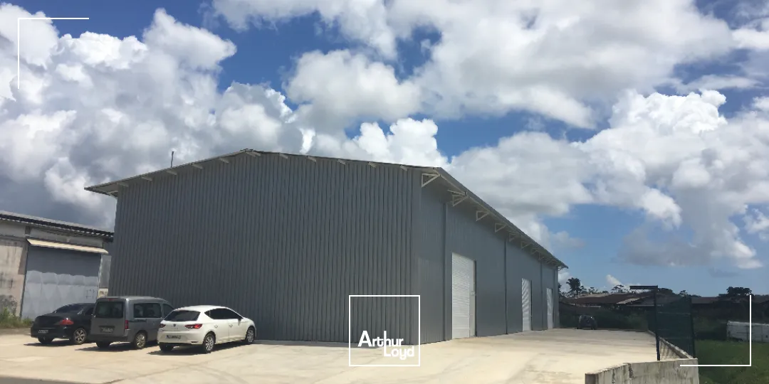 Locaux d'activité & Entrepôts - Location - Matoury - 97351 - 336-336 - 7807934