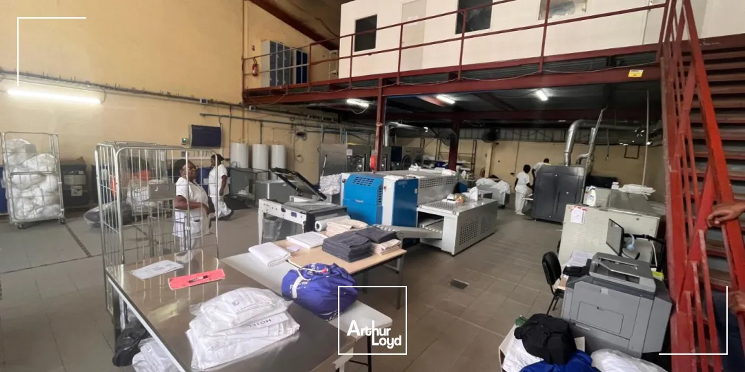 Locaux d'activité & Entrepôts - Location - Ducos - 97224 - 360-360 - 7807980