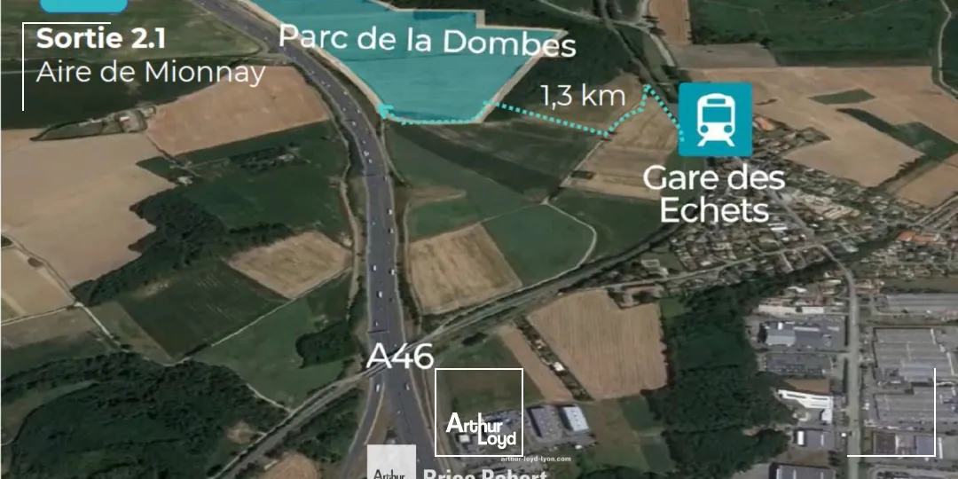 Locaux d'activité & Entrepôts - Vente - MIONNAY - 01390 - 455.2-455.2 - 7808749