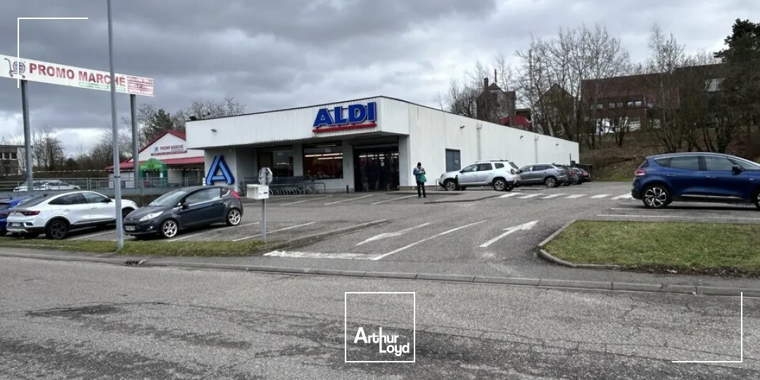Locaux commerciaux - Location - SAVERNE - 67700 - 800-800 - 7808852