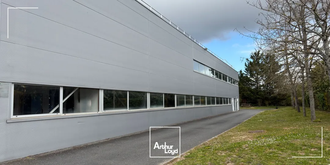 Locaux d'activité & Entrepôts - Vente - OLIVET - 45160 - 1395.3-1395.3 - 7809326