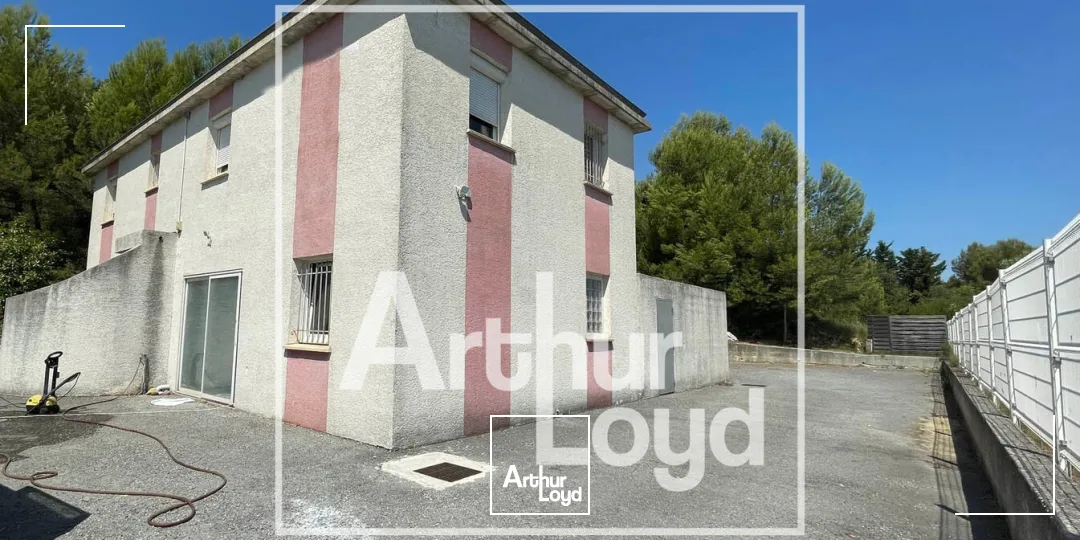 Bureaux - Location - SAINT GELY DU FESC - 34980 - 291-291 - 7812051
