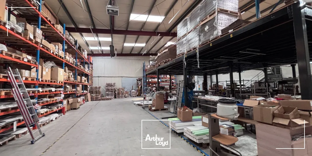 Locaux d'activité & Entrepôts - Vente - BOUAYE - 44830 - 1359-1359 - 7812291