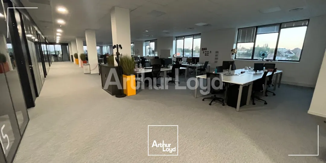 Bureaux - Location - CROIX - 59170 - 2654-2654 - 7813962