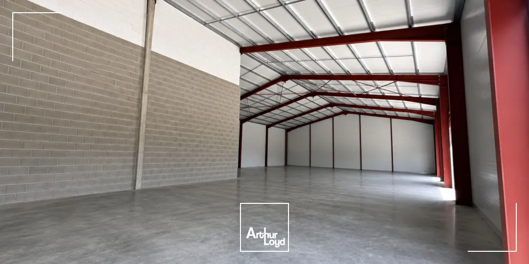 Locaux d'activité & Entrepôts - Vente - SAVIGNEUX - 42600 - 924-924 - 7816024