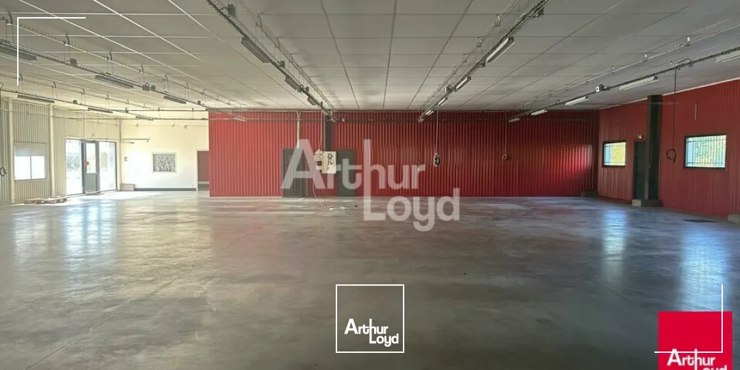 Locaux d'activité & Entrepôts - Vente - BLOIS - 41000 - 920-920 - 7816208