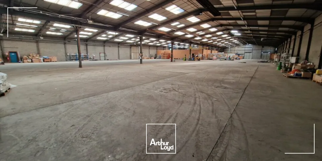 Locaux d'activité & Entrepôts - Location - COULONGES SUR L'AUTIZE - 79160 - 2645-2645 - 7816347