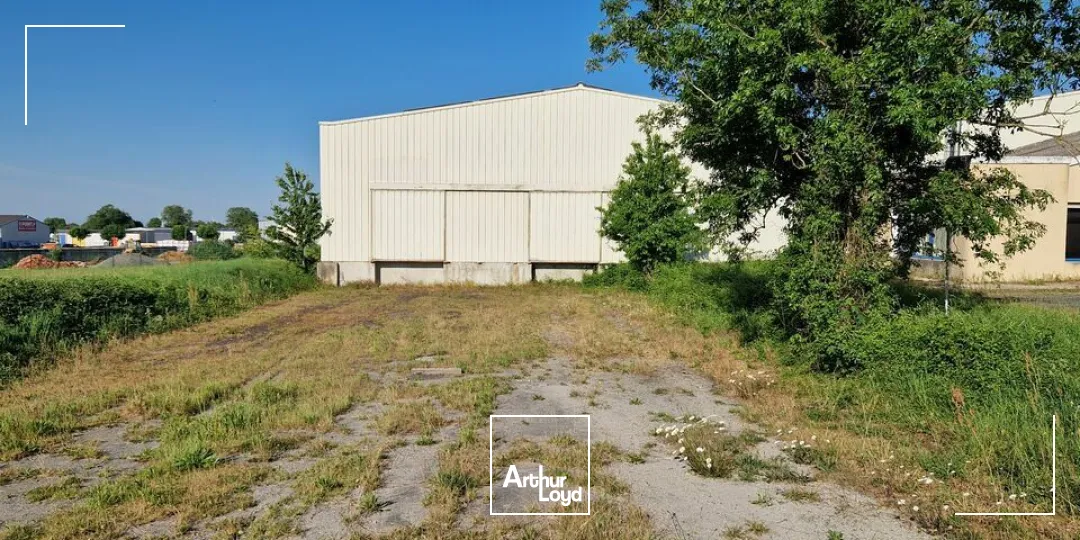 Locaux d'activité & Entrepôts - Location - COULONGES SUR L'AUTIZE - 79160 - 2645-2645 - 7816350