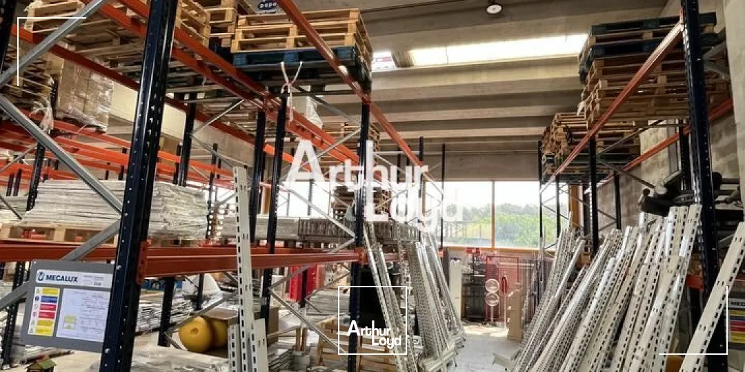 Locaux d'activité & Entrepôts - Location - ANTIBES - 06600 - 290-290 - 7817243