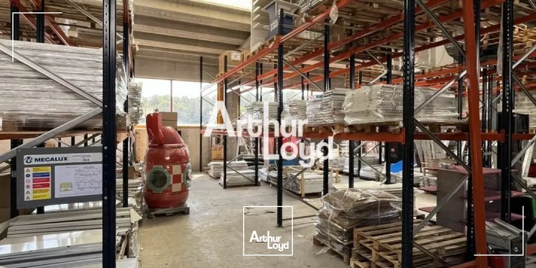 Locaux d'activité & Entrepôts - Location - ANTIBES - 06600 - 290-290 - 7817244