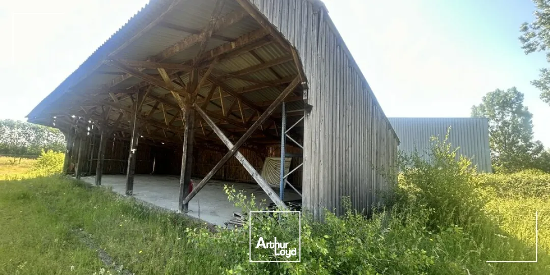 Locaux d'activité & Entrepôts - Vente - MONTMARAULT - 03390 - 2833-2833 - 7817630