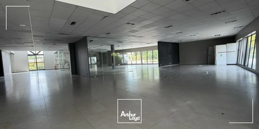 Locaux commerciaux - Vente - REIMS - 51100 - 1700-1700 - 7819047