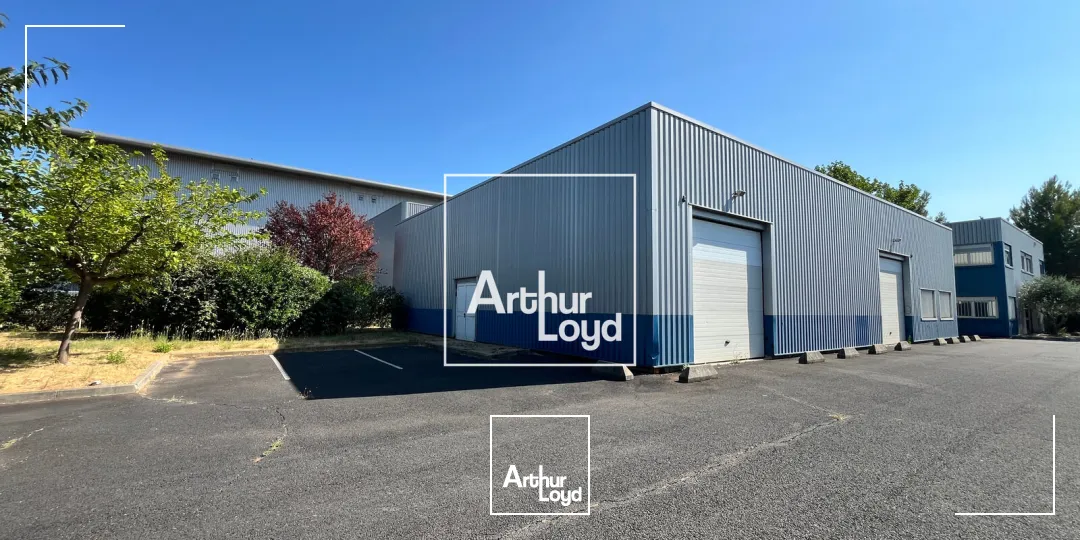 Locaux d'activité & Entrepôts - Location - GALLARGUES LE MONTUEUX - 30660 - 430-430 - 7819096
