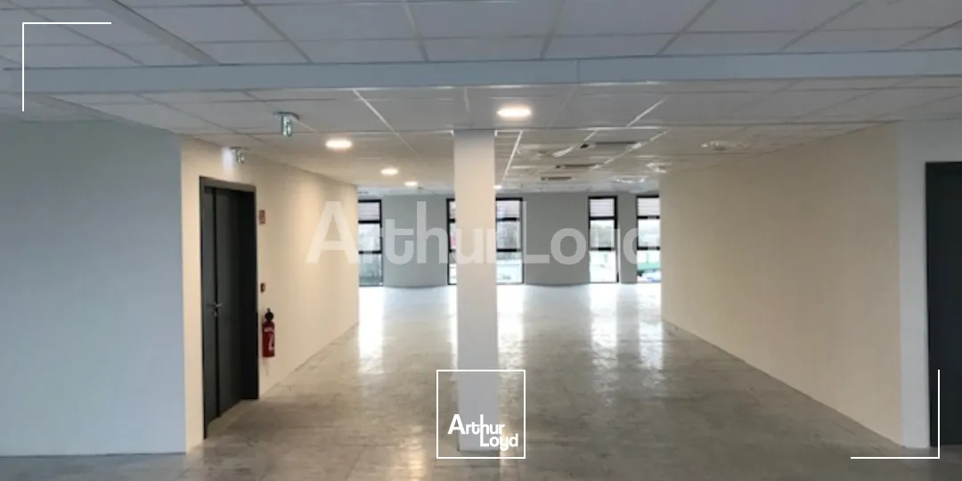 Bureaux - Location - SECLIN - 59113 - 858.03-1716.06 - 7819591