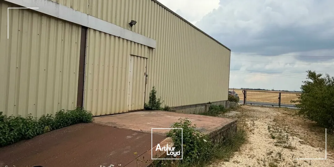 Locaux d'activité & Entrepôts - Location - TROUY - 18570 - 550-550 - 7821091