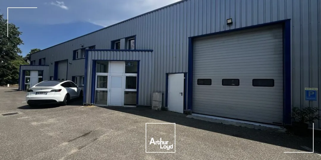 Locaux d'activité & Entrepôts - Location - NIEDERMODERN - 67350 - 746-746 - 7822780