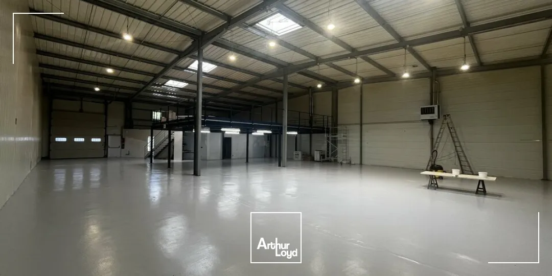 Locaux d'activité & Entrepôts - Location - NIEDERMODERN - 67350 - 746-746 - 7822779