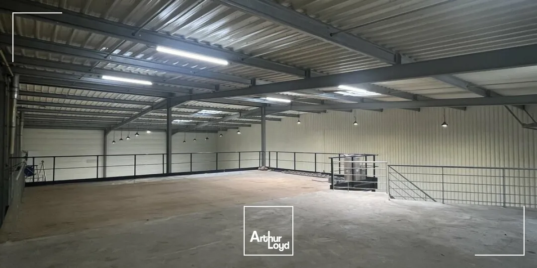 Locaux d'activité & Entrepôts - Location - NIEDERMODERN - 67350 - 746-746 - 7822781