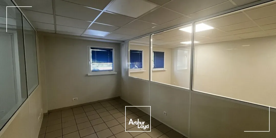 Locaux d'activité & Entrepôts - Location - NIEDERMODERN - 67350 - 746-746 - 7822783