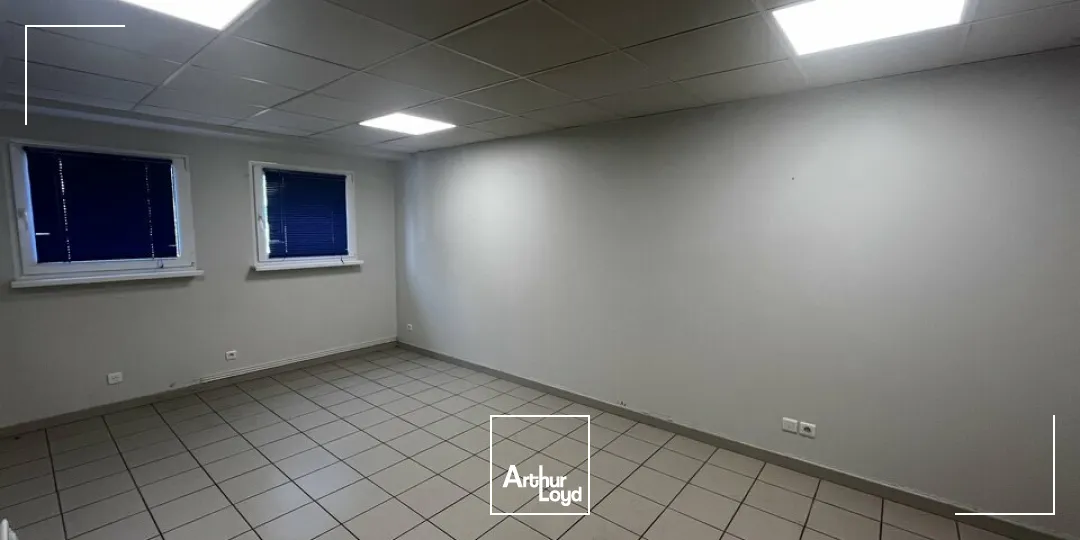 Locaux d'activité & Entrepôts - Location - NIEDERMODERN - 67350 - 746-746 - 7822784