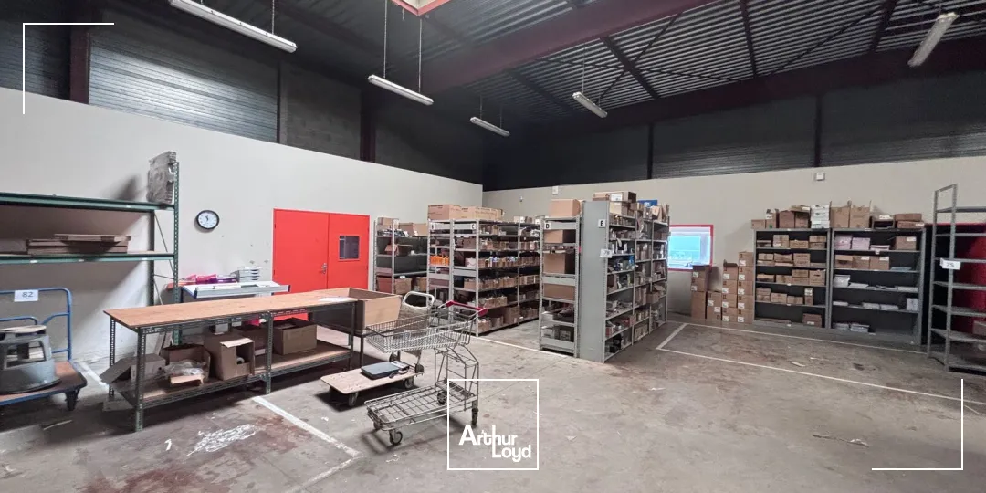 Locaux d'activité & Entrepôts - Vente - CARQUEFOU - 44470 - 1082-1082 - 7823265