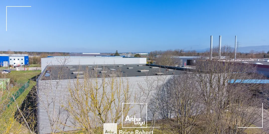 Locaux d'activité & Entrepôts - Location - BLYES - 01150 - 7878-7878 - 7824183