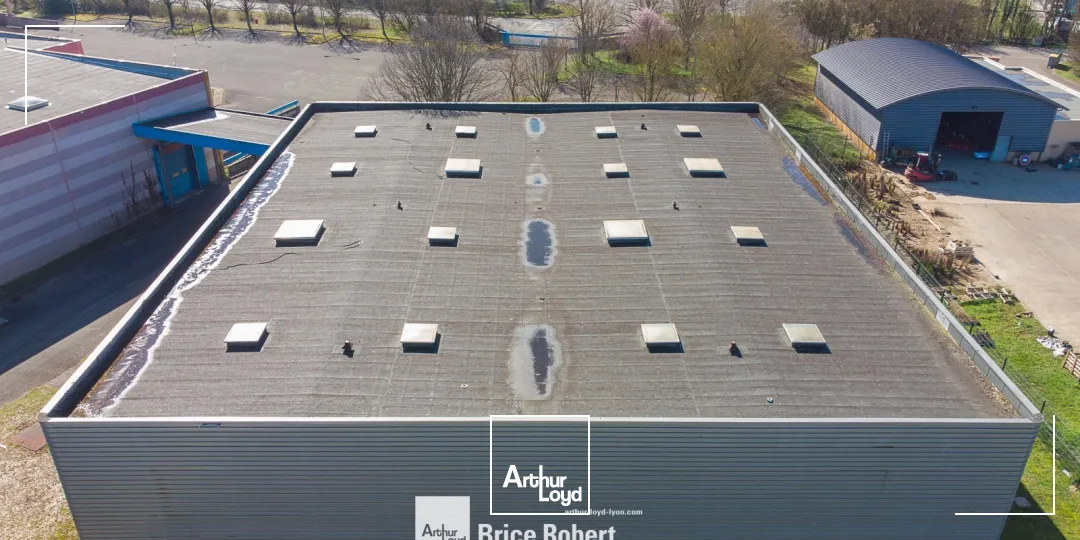 Locaux d'activité & Entrepôts - Location - BLYES - 01150 - 7878-7878 - 7824185